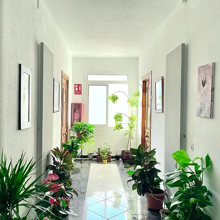 In Near Apartman Torremolinos